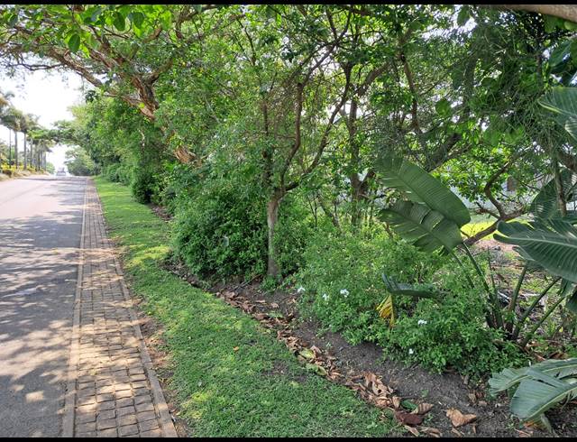 450M² VACANT LAND FOR SALE IN PALM LAKES ESTATE